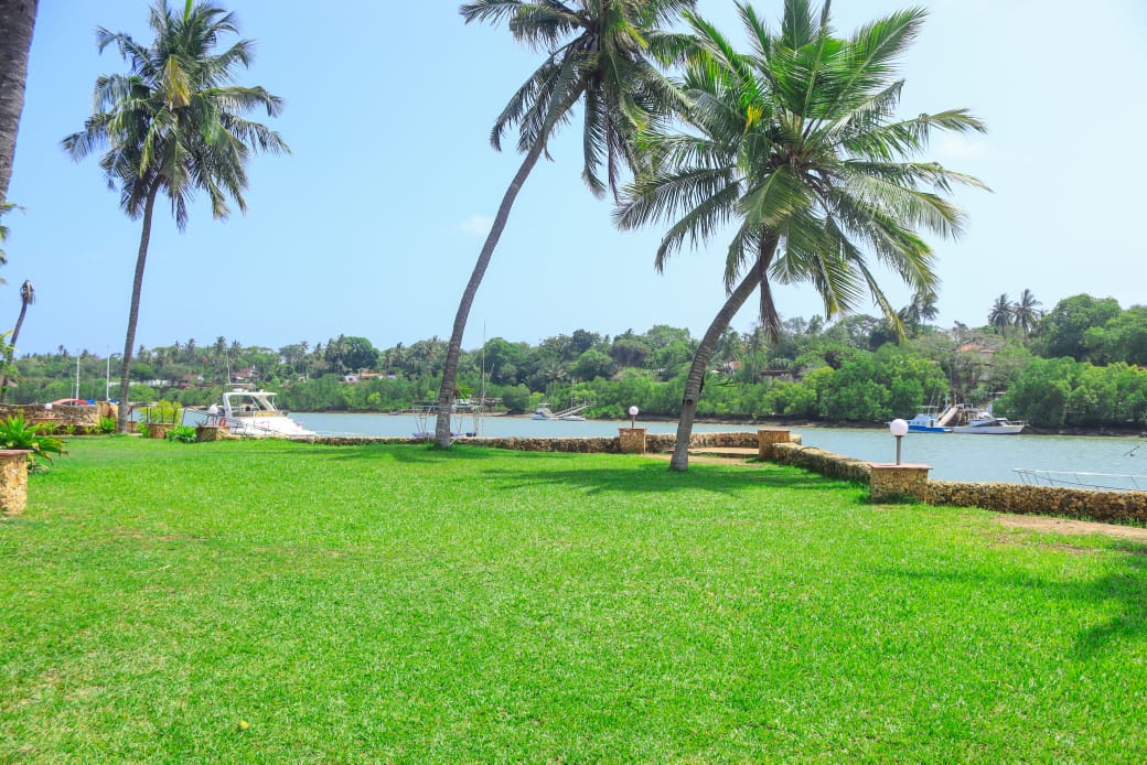La Marina image 2