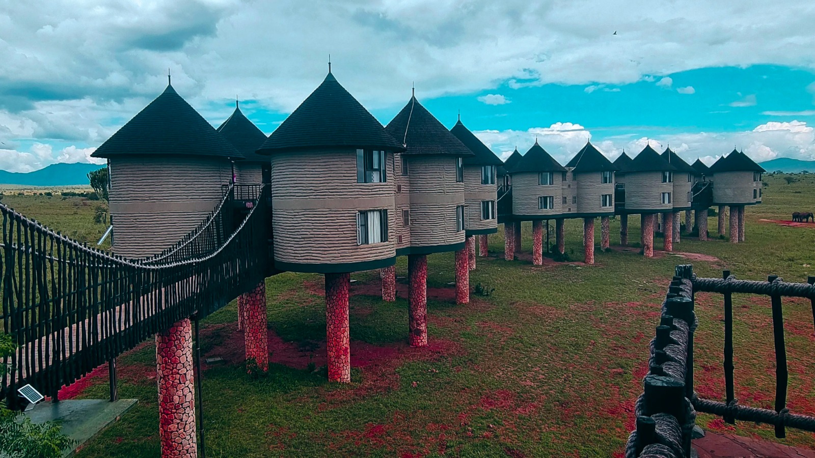 Salt Lick Safari Lodge